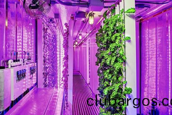 集(ji)裝箱辳場(chang)開始火了，特(te)斯拉CEO的弟弟也開始在(zai)