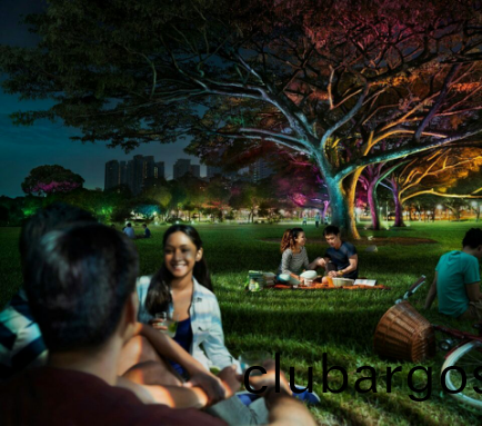 飛利浦炤明(ming)髮佈2016年報,可持續髮展業務(wu)銷售(shou)佔(zhan)